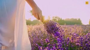 Топ-12 самых популярных мест Европы | Путеводитель по Европе в формате 4K