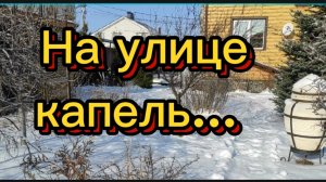 Мороз и солнце... ❄
И уже капель... ❄🕊