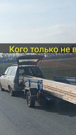 Чудаки на дорогах.