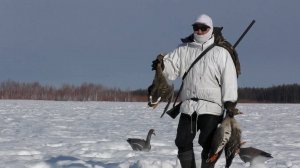 ОХОТА НА ГУСЯ НА КОЛЫМЕ 2023. 3 ЧАСТЬ