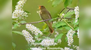 " ВДОХНОВЕНИЕ - РАДОСТЬ НАДЕЖДЫ" - ПОЭТ НИНА ИГНАТОВА