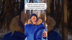 Как избавиться от страданий после развода.