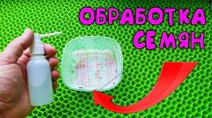 Аптечное средство 💊 Самый быстрый способ обработки семян 🌱 от болезней перед посевом на рассаду🌿