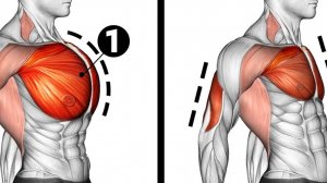 Как накачать грудь и трицепс? | Неделя 1: Жим гантелей и набор мышц