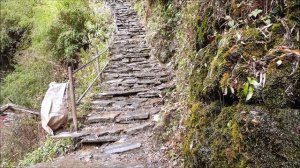 Поход вокруг Анапурны 2019