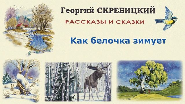 «Как белочка зимует» (автор Георгий Скребицкий) - Слушать