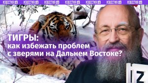 Нужна система защиты от тигров: Вассерман – об угрозе жизни жителей Приморья / Открытым текстом