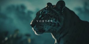 (4К)Ummet Ozcan - Vortex (Official Music Video)