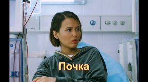 Обзор сериала "Почка"