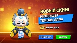 Купил кит боксера тёмную лапу в brawl stars