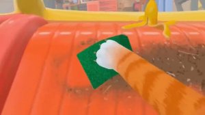 I AM CAT VR