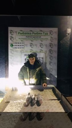 уловы рыбаков в Рыбин Гуде