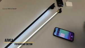 THIN & SMART (6 - Алиса)