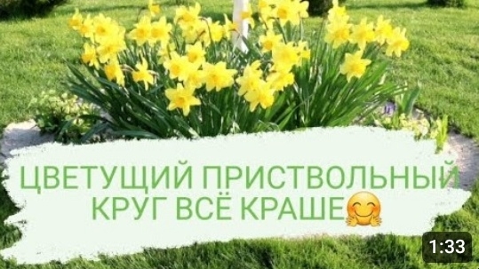 ЦВЕТУЩИЙ ПРИСТВОЛЬНЫЙ КРУГ ВСЁ КРАШЕ 🤗 21.04.2023г.