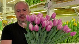 ЛУКОГОН: выгонка тюльпанов к 8 Марта. Основы технологии профессиональной выгонки.