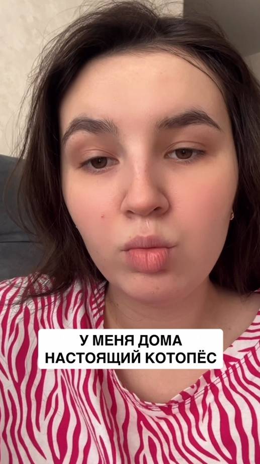 Настоящий котопёс #кошкасфинкс #сфинкс #котопес