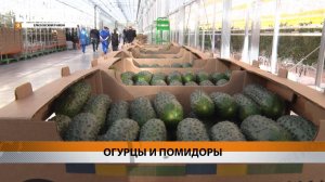 Новости Камчатки за 11 февраля 2025 года