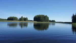 озеро ОСТРОВЕНСКОЕ Мошенской р-н