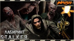 Лабиринт ● S.T.A.L.K.E.R.