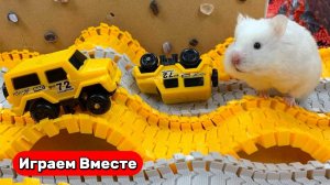 Хомяк попал в лабиринт из ИГРЫ В КАЛЬМАРА с ловушками ! Видео для детей