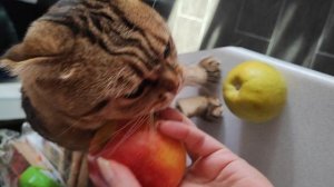 Яблочная душа 🍎🍏