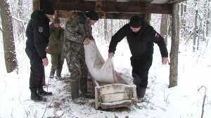 В охотничьих угодьях Красногвардейского района полным ходом идут биотехнические мероприятия