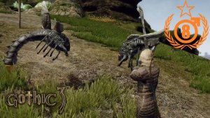 Путешествую с Шершнём #8 Gothic 3 Union