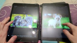 Сравнение - Матовая Пленка против Прозрачного Стекла_1