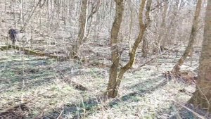 Два удачных выезда на коп.