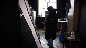 УБИЛ СОБАКУ, ЧТОБЫ НЕ БРАТЬ В НОВУЮ КВАРТИРУ