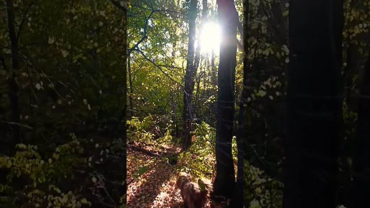 Доброе утро мир #осознание #nature #природа #мир #жизнь #love