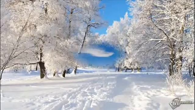 Зимняя сказка Созд Хохлов В Н смотреть онлайн