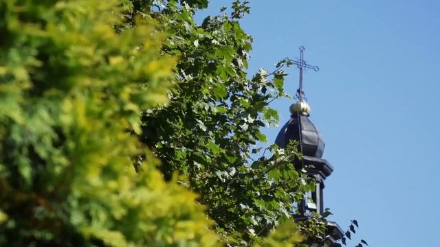 Film promujący gminę Babice z udziałem Miss Polonia 2018 Mileny Sadowskiej смотреть онлайн