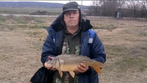 Малиновка рыбалка. Ловля карпа на фидер. Фидер. Рыбалка.