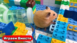 ЛЕГО ЛАБИРИНТ С ЛОВУШКАМИ ДЛЯ УМНОГО ХОМЯКА ! Видео для детей
