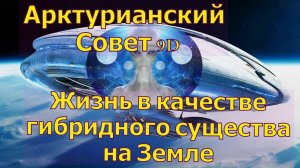 Жизнь в качестве гибридного существа на Земле ∞Арктурианский совет 9-го измерения