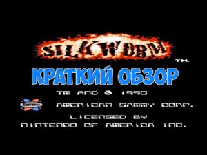 Silk Worm краткий обзор игры