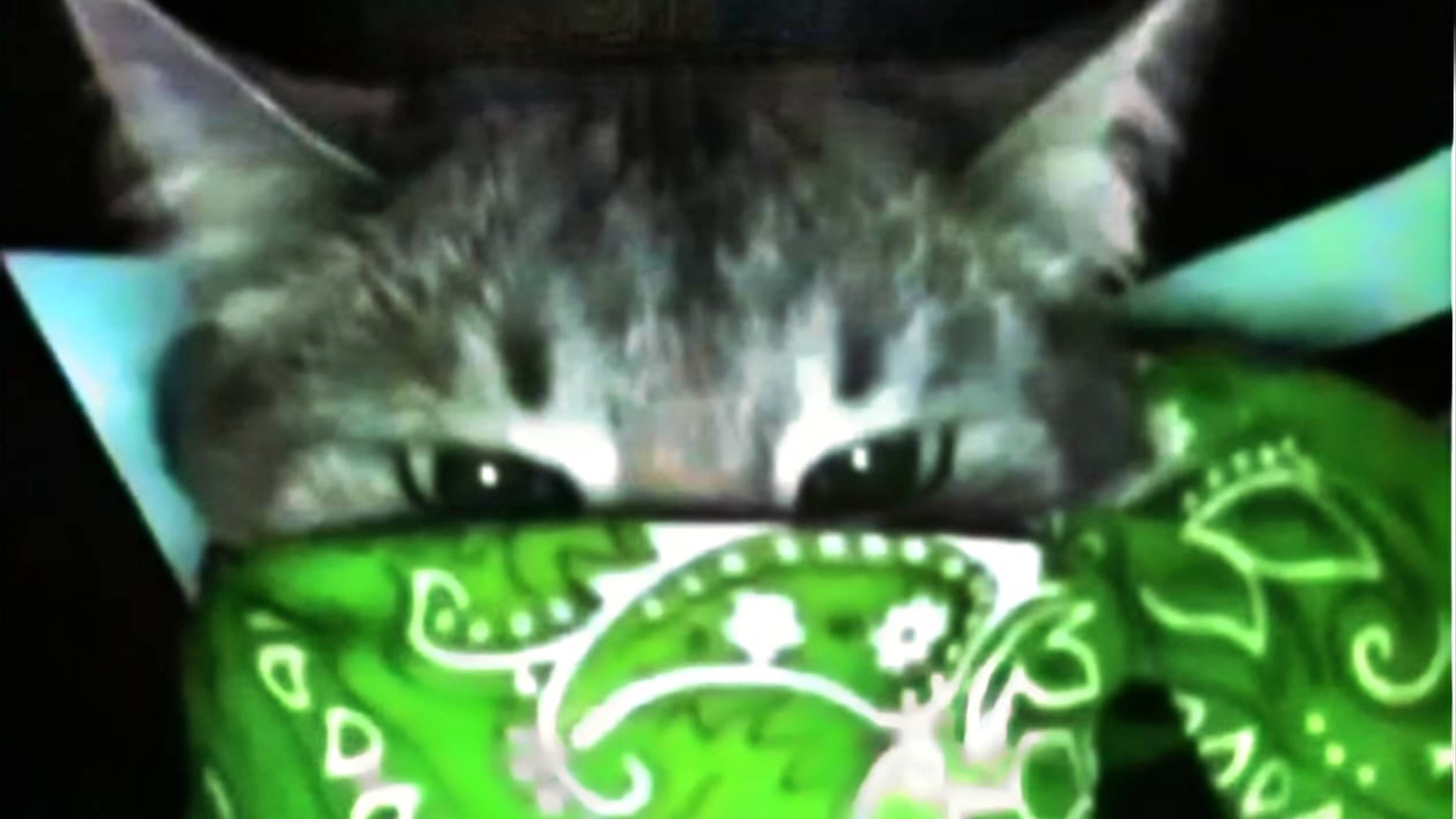 Играю в соревы смотреть онлайн