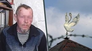 Пять лет в "Белом лебеде" или как из безвинного пенсионера Льва Каменских   сделали убийцу...