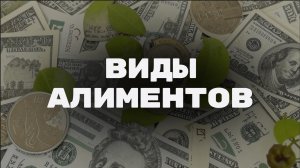 Виды алиментов: кто и сколько должен платить? Полный разбор выплат