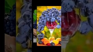 @ Виноградную косточку в землю зарою