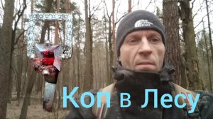 копаю в лесу у дома