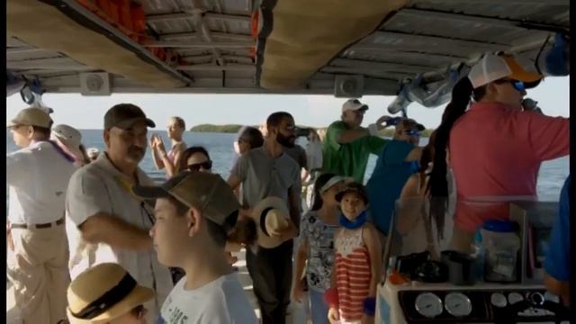 Tarpon Springs Sightseeing Cruise - Odyssey Cruises Call (727) 934-0547 смотреть онлайн