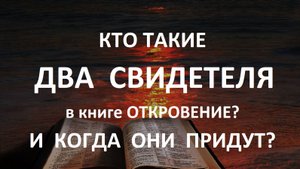 КТО ТАКИЕ ДВА СВИДЕТЕЛЯ в книге ОТКРОВЕНИЕ?     И КОГДА ОНИ ПРИДУТ?