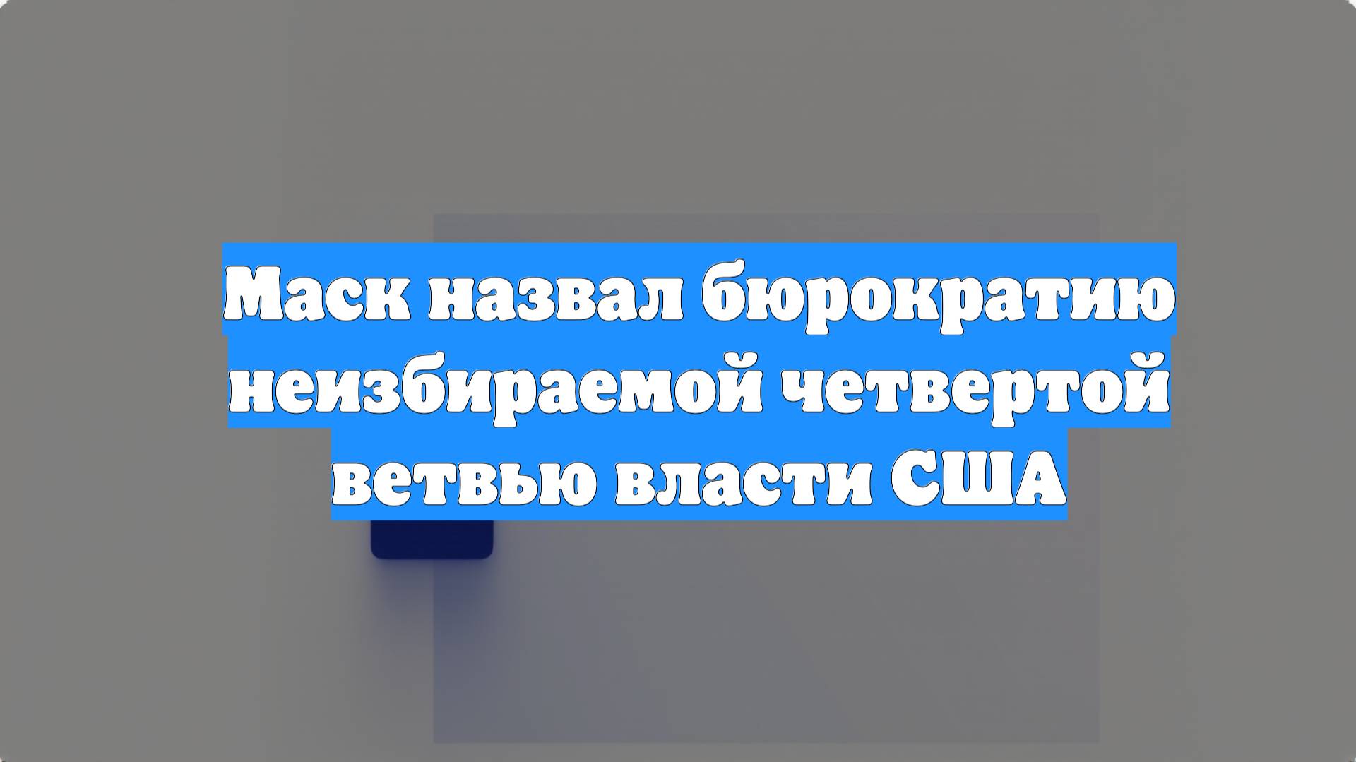 Маск назвал бюрократию неизбираемой четвертой ветвью власти США