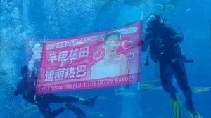 Бренд решил представить Дильрабу Дильмурат на земле в воздухе и на воде.