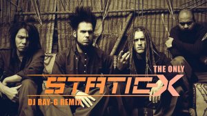 Static-X - The Only (Dj ray-g remix)