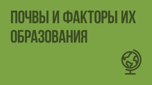Почвы и факторы их образования. Видеоурок по географии 8 класс