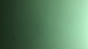 Правда и ложь