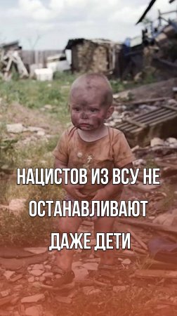 Жуткое зрелище: это оставляют нацисты из ВСУ, убегая из городов, которые освобождает Россия